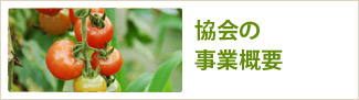 協会の事業概要