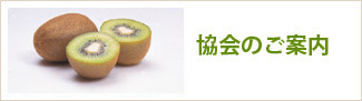協会のご案内