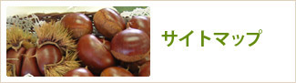 サイトマップ